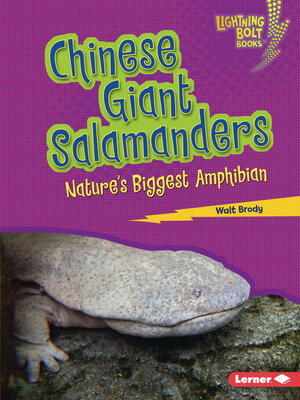 cover image of Chinese Giant Salamanders